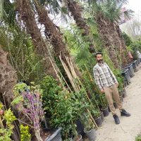 باغبانی و فضای سبز