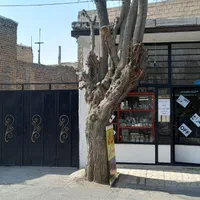 مغازه چهار دیواری ملکیت ۱۰۰ متری