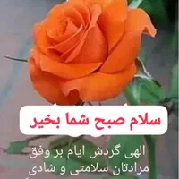 مشاوره خانواده. بررسی مشکلات