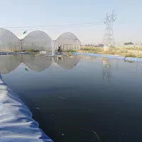 گلخانه باغ پسته و انار و پرورش ماهی|فروش دفتر صنعتی، کشاورزی، تجاری|جوادآباد, |دیوار