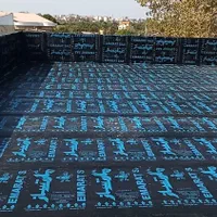 نصب ایزوگام دلیجان|خدمات پیشه و مهارت|رشت, یخسازی|دیوار