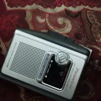 پاناسونیک