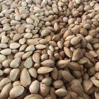 خرید و فروش بادام شیرین و تلخ|خوردنی و آشامیدنی|شیراز, کفترک|دیوار