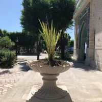 گلدان فایبرگلاس پلیمری سبک زیبا سازی شهری صادراتی|مصالح و تجهیزات ساختمان|تهران, شهرک دانشگاه تهران|دیوار