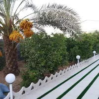 نرده.دورباغچه و کف پوش|مصالح و تجهیزات ساختمان|دزفول, |دیوار