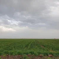 ۱۰/۰۰۰ مترمربع زمین کشاورزی حاصلخیز سنددار|فروش دفتر صنعتی، کشاورزی، تجاری|کرج, احدآباد|دیوار
