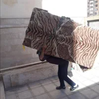 باربری نیسان وانت بارتلفنی کارگر اسباب کشی|خدمات حمل و نقل|شیراز, درکی|دیوار