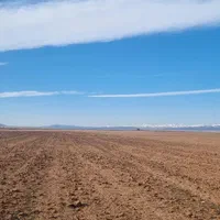 فروش ۱ هکتار زمین کشاورزی منطقه دشت آبی|فروش دفتر صنعتی، کشاورزی، تجاری|کرج, رجب‌آباد|دیوار