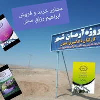 فروش امتیاز زمین پردیس دادگستری شاهین شهر|فروش زمین و ملک کلنگی|شاهین‌شهر, شهرک پردیس|دیوار