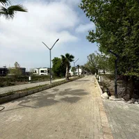 فروش زمین شهرکی سنددار منطقه جنگلی سیسنگان(کد۱۷۱)|فروش زمین و ملک کلنگی|نوشهر, |دیوار