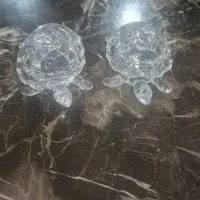 دوعدد لاکپشت