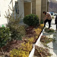 خدمات باغبانی گلکاری هرسکاری سمپاشی صفر تا صدهمجا|خدمات باغبانی و درختکاری|پردیس, |دیوار