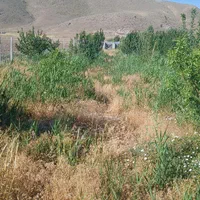 خدمات باغبانی هرس کاری  علفزنی و چال کودعلف زنی|خدمات باغبانی و درختکاری|زنجان, |دیوار