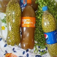 کلاه ق و     ر ه