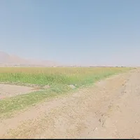 فروش زمین ۱ هکتار در سپاهان‌شهر|فروش زمین و ملک کلنگی|اصفهان, سپاهان‌شهر|دیوار