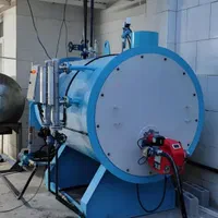 دستگاه بخار شوی کارواش Z/S