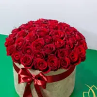 گل روبانی|گل مصنوعی|مراغه, |دیوار