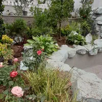 روف گاردن- طراحی- اجرا -فضای سبز