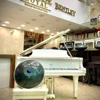 مرکز پخش هنگدرام کیتاپنتام|درام و پرکاشن|تهران, جمهوری|دیوار