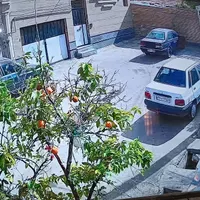 دوربین مداربسته و دزدگیر (نقدواقساط تا ۶ ماه)|دوربین مداربسته|شیراز, عادل آباد|دیوار