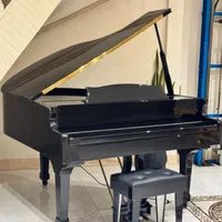 پیانو گرند دیجیتال|پیانو، کیبورد، آکاردئون|شیراز, رازی|دیوار