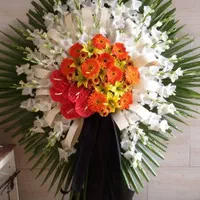 تاج گل ترحیم و جشنی ارسال است|خدمات پذیرایی، مراسم|کرج, کمالشهر|دیوار