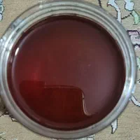 عسل طبیعی برداشت تازه|خوردنی و آشامیدنی|تهران, خلیج فارس|دیوار