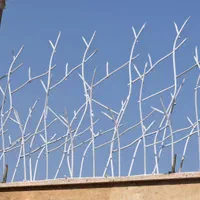 حفاظ شاخ گوزنی|خدمات پیشه و مهارت|سبزوار, |دیوار