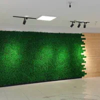 دیوار سبز تبریز چمن|مصالح و تجهیزات ساختمان|تبریز, |دیوار