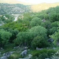 اجاره ویلا باغ در دل طبیعت|اجارهٔ کوتاه‌مدت ویلا و باغ|یاسوج, |دیوار