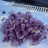 پنج هکتار پسته،زعفرون،زمین کشاورزی سنددار|فروش زمین و ملک کلنگی|شیراز, کفترک|دیوار