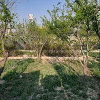 360متر زمین سند دار(شهرکی) سهیلیه/شهرک زعفرانیه|فروش زمین و ملک کلنگی|کرج, مهرویلا جنوبی|دیوار