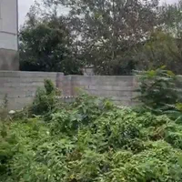 فروش زمین 100 متری داخل بافت شمال محمودآباد|فروش زمین و ملک کلنگی|تهران, بازار|دیوار