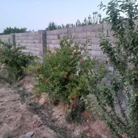 فروش باغ مناسب|فروش خانه و ویلا|اصفهان, احمدآباد|دیوار