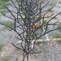 تولید حفاظ شاخ گوزنی