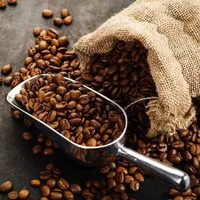 دان قهوه تازه رست شده بن تایم + پودر قهوه ترک