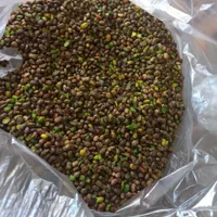 پخش عمده اجیل و خشکبار صدیک|عمده‌فروشی|شیراز, شهرک صنعتی|دیوار