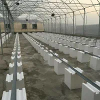 فن سیرکولار گلخانه|پنکه و تصفیهکنندهٔ هوا|شهرضا, |دیوار