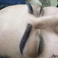 فیبروز ابرو تاتو 750 وپلاسما کوچک کردن بینی آموزش|خدمات آرایشگری و زیبایی|شیراز, تحویلی|دیوار