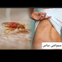 سم پاشی حشرات منزل به صورت تضمینی|خدمات نظافت|سیرجان, |دیوار