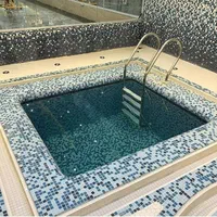 پله و نردبان استخر - دستگیره دور استخر