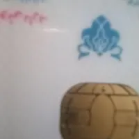 کارت ملی پیداشده