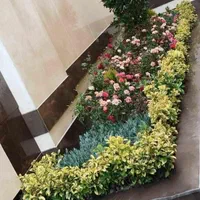 اجرای خدمات باغبانی  کاشت باغچه ،علف زنی سم پاشی|خدمات باغبانی و درختکاری|زنجان, |دیوار
