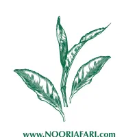 جذب نیروی دفتری خانم برای چای نورجعفری لاهیجان