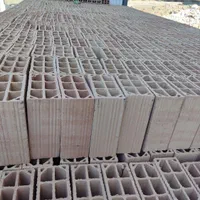 آجر سفال تیغه امیری