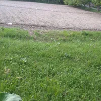 زمین کشاورزی درجواررودخانه روستای سیمیندشت(حصاربن)|فروش زمین و ملک کلنگی|فیروزکوه, |دیوار