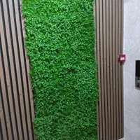 فروش واجرای پارکت .قرنیز .ماربل شیت. ترمووال|خدمات پیشه و مهارت|ارومیه, |دیوار