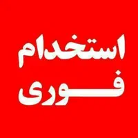 تعداد نجار ماهر مبلمان راحتی قلعه میر