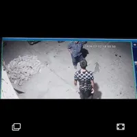 سگ شیتزوم دزدیدن