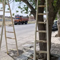 نردبان یک طرفه و دوطرفه|ابزارآلات|چناران, |دیوار
